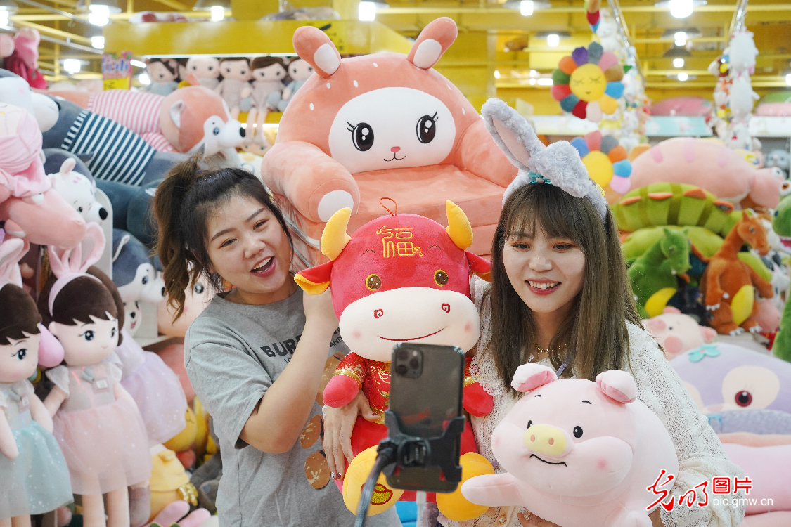 E-commerce experiencing explosive growth in N China's Hebei E-commerce experiencing explosive growth in N China's Hebei