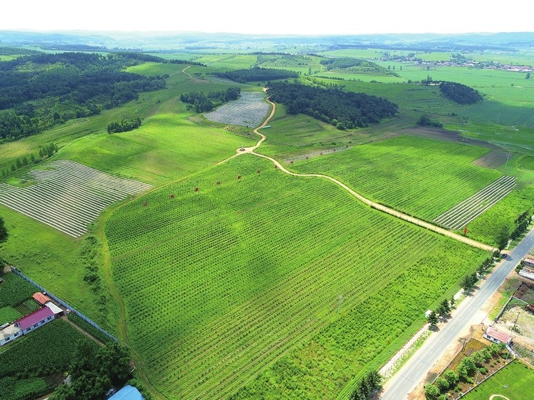 NE China’s Liaoyuan city achieves rich fruits in treating water pollution, restoring ecology